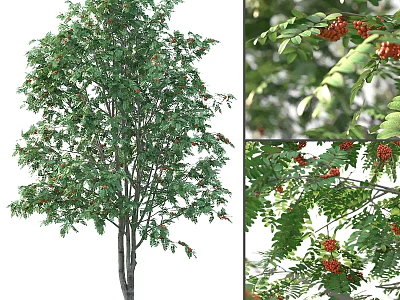 Decorative Ornament Set With Artificial Tree Green Leaves And Red Fruits For Home Decor 3d model