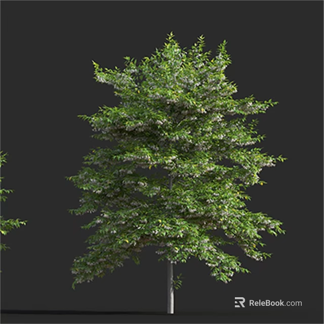 Lush Green Arbor with Dense Foliage and White Blooming Flowers in Full Growth 3d model 