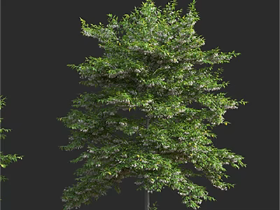 Lush Green Arbor with Dense Foliage and White Blooming Flowers in Full Growth 3d model