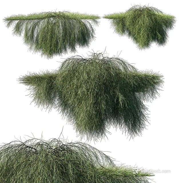 Lush Green Vines With Hanging Branches And Dense Foliage For Garden Decor 3d model 