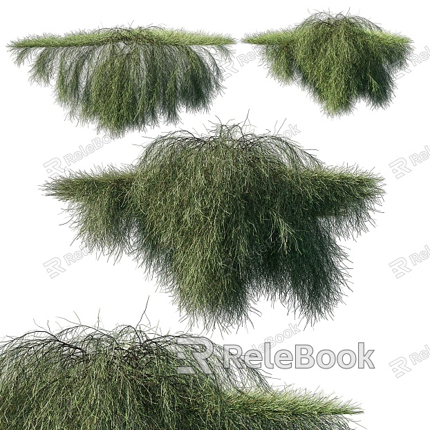 Modern Vine Outdoor Casuarina Landscape Plant Terrace Balcony Climbing Wall Plant model