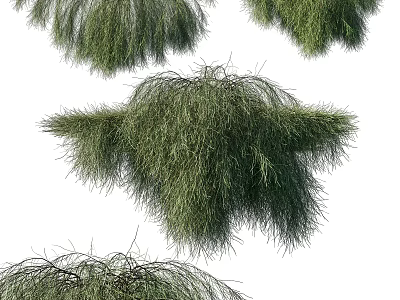 Lush Green Vines With Hanging Branches And Dense Foliage For Garden Decor 3d model
