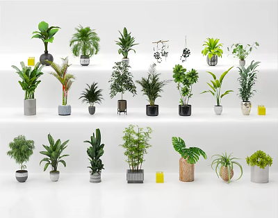 Various Bonsai Potted Plants Displayed on Stairs with Different Pots and White Background 3d model