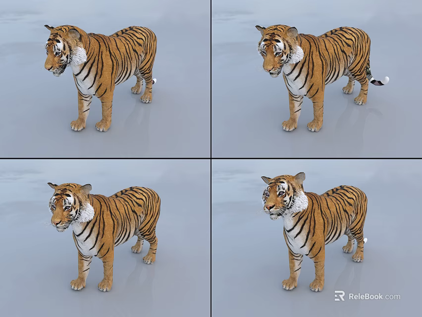 Striped Reptile Model Displayed In Multiple Angles Studio Setting 3d model 