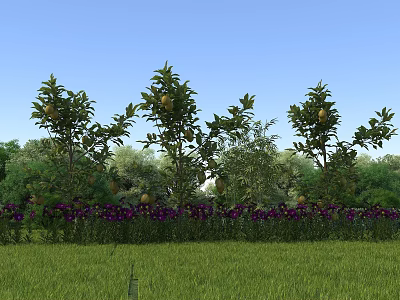 Rural Landscape Featuring Fruit Trees Purple Flowers Green Grass Background Trees and Blue Sky 3d model