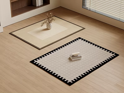 Modern Rugs With Contrast Borders On Wooden Floor With Vase And Books 3d model