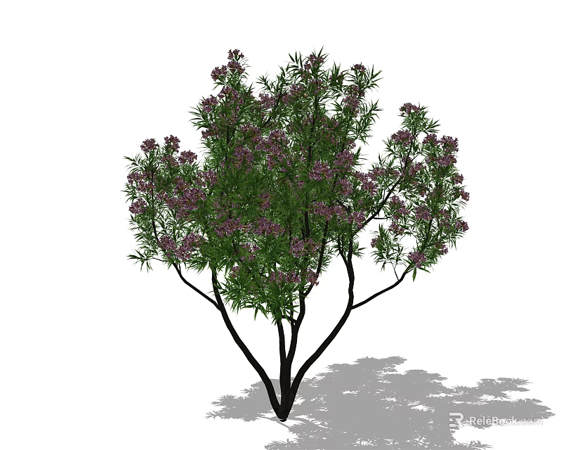 Ornamental Arbor with Lush Green Leaves and Vibrant Purple Flowers on White Background 3d model 