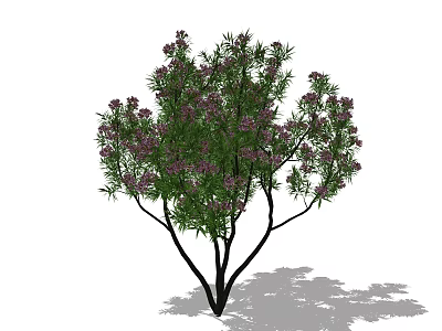 Ornamental Arbor with Lush Green Leaves and Vibrant Purple Flowers on White Background 3d model