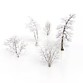 Group of Leafless Snow Covered Trees with Bare Branches on White Background 3d model