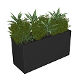 Plant combination plant box green plant flower box 3d model