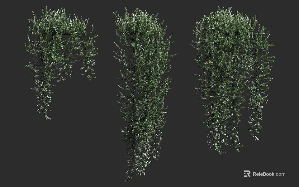 Various Green Shrubs with Lush Foliage for Garden Landscape Design 3d model 