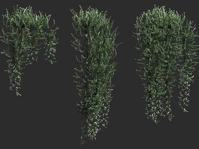 Various Green Shrubs with Lush Foliage for Garden Landscape Design 3d model