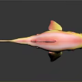 Colorful Pink And Yellow Shark With Red Fins In Cartoon 3D Model Design