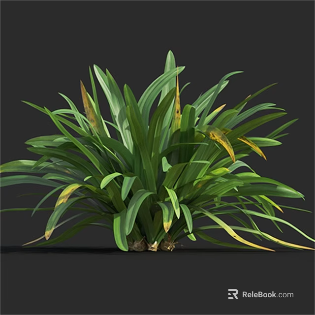 Vibrant Lush Herbaceous Plant With Long Green Leaves And Yellow Tips 3d model 