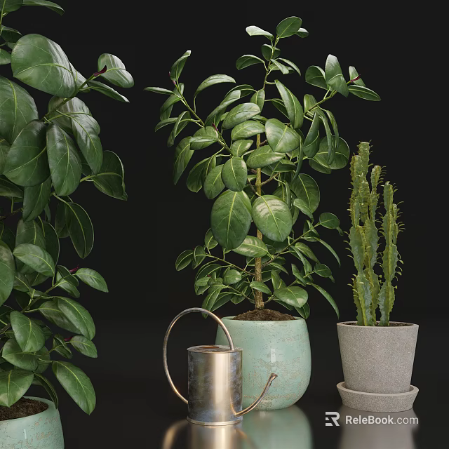 Green Leafy Bonsai Potted Plants With Cactus And Metal Watering Can 3d model 