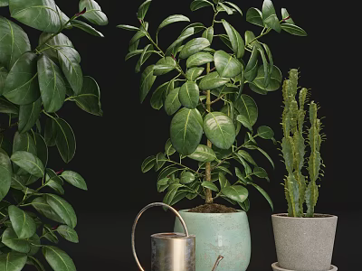 Green Leafy Bonsai Potted Plants With Cactus And Metal Watering Can 3d model