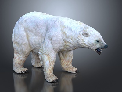 Modern bear polar bear white bear cartoon bear 3d model