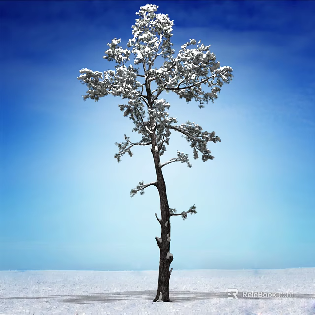 Snow Covered Tree Standing Against Clear Blue Sky With Snowy Ground 3d model 