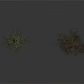 Two Leafless Dead Trees With Bare Trunks Standing On White Background