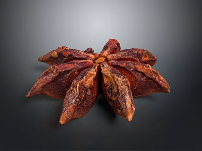 Dried Star Anise Spice with Brown Star Shaped Pods on Dark Background 3d model
