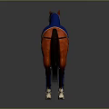 Brown Horse In Blue Blanket With Leg Wraps Yellow Trim And Straps