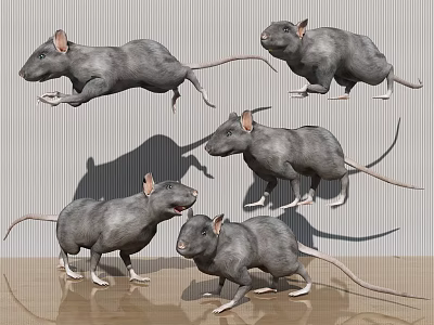 Multiple Grey Reptiles In Various Action Poses On Shaded Ground Surface 3d model