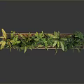 Various Green Plants in Rectangular Planter with Different Leaf Shapes on Dark Background