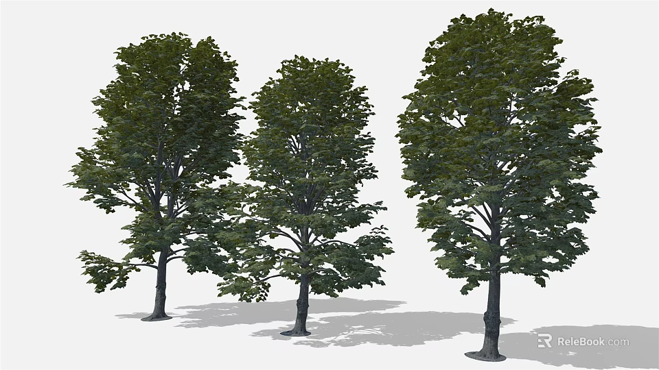 Cartoon Scene With Three Lush Green Leafy Trees And Natural Shaded Trunks 3d model 