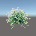 Lush Green Leaf Shrub With Vibrant Purple Flowers In Full Bloom