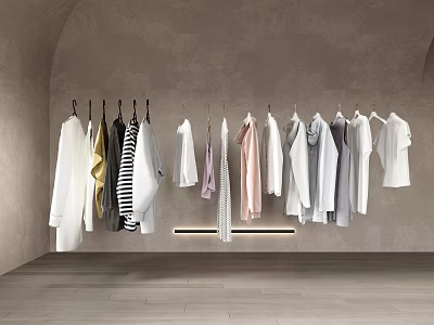 Stylish Minimalist Clothes Hanging on Wall in Modern Interior with Arch and Various Colors 3d model