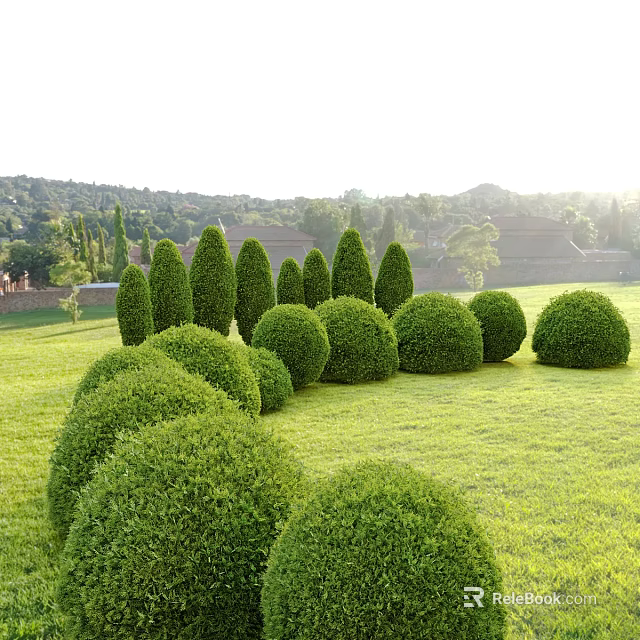 Trimmed Arbor Trees With Well Shaped Shrubs On Lush Green Lawn And Distant Buildings 3d model 