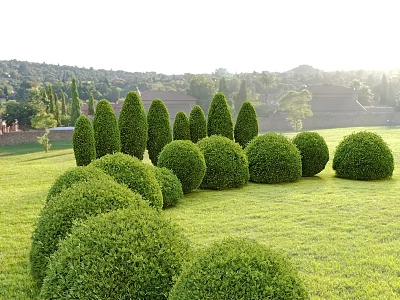 Trimmed Arbor Trees With Well Shaped Shrubs On Lush Green Lawn And Distant Buildings 3d model