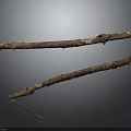 Natural Rustic Wooden Branches With Dry Bark And Textured Surface For Decor