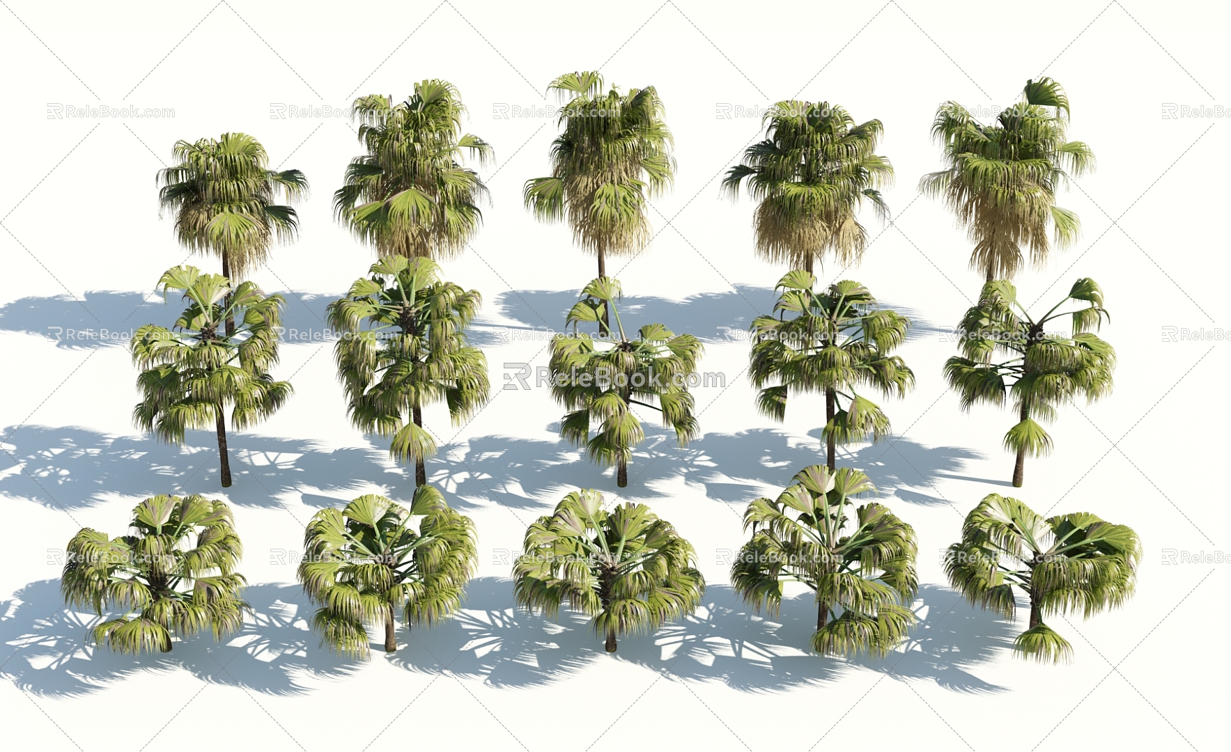 Modern Palm Tree 3d model