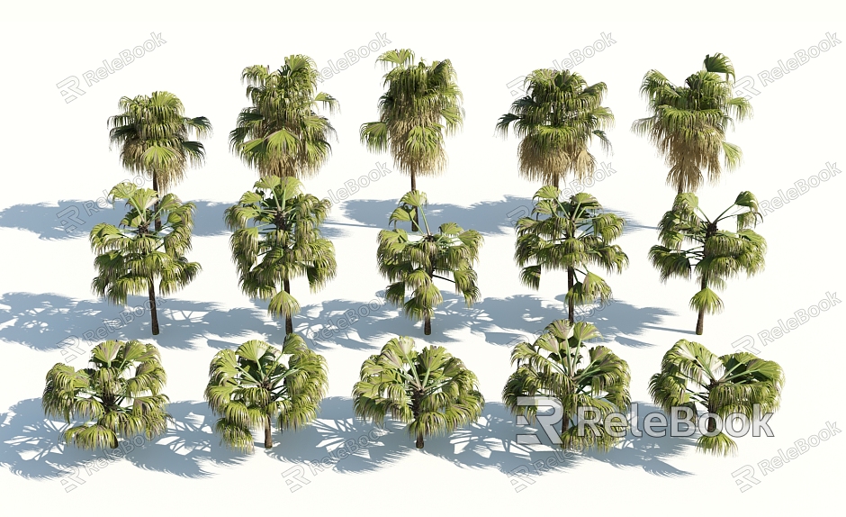 Modern Palm Tree model