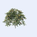 Realistic Inflatable Tree Decoration With Green Leaves And Yellow Flowers For Events
