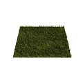 Plant Greening Grass Green Space Lawn Grass Ground Green Space Grass can be copied into a large grassland 3d model