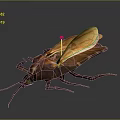 Detailed 3D Rendered Insect With Brown Body Transparent Wings And Red Dot On Gray Background