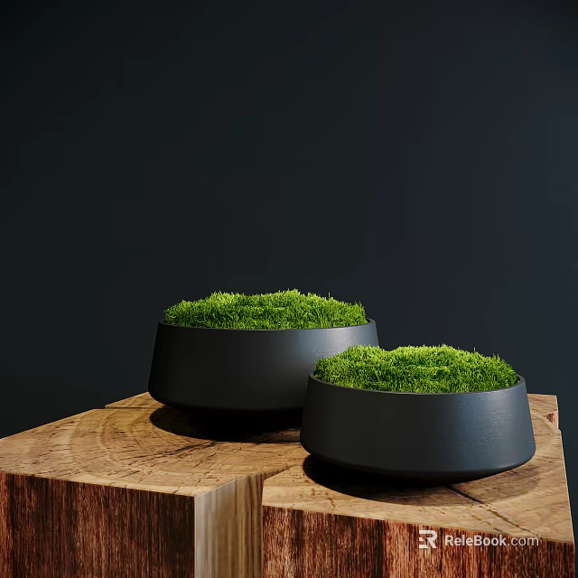 Pair of Green Moss Bonsai Plants in Black Pots on Wooden Stump Stand 3d model 
