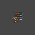 Detailed Vintage Beetle Specimen With Colorful Rubik's Cube On Gray Background