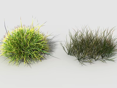 Vibrant Green Yellow and Dark Green Grass Clumps with Natural Foliage Texture 3d model