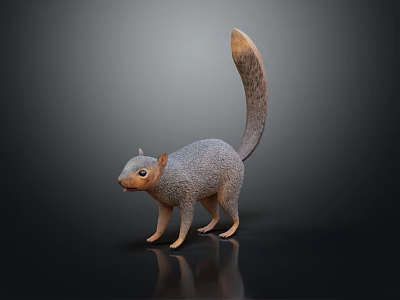 Gray Squirrel With Long Bushy Tail Standing On Dark Background With Reflection 3d model