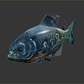 fish carnivorous fish piranha piranha freshwater fish sea fish animal game animal cartoon animal 3d model