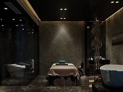 Luxury SPA Sauna Room Interior With Massage Bed Bathtub And Stone Wall Lighting 3d model