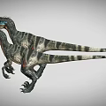 3D Render Two Realistic Blue Headed Striped Velociraptors Standing Open Mouth Pose 3d model
