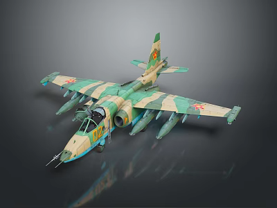 Detailed Military Aircraft Model With Camouflage Paint And Weapon Attachments 3d model