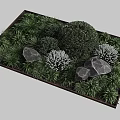 Modern Minimalist Garden Landscape With Lush Green Plants And Natural Decorative Stones For Outdoor Yards