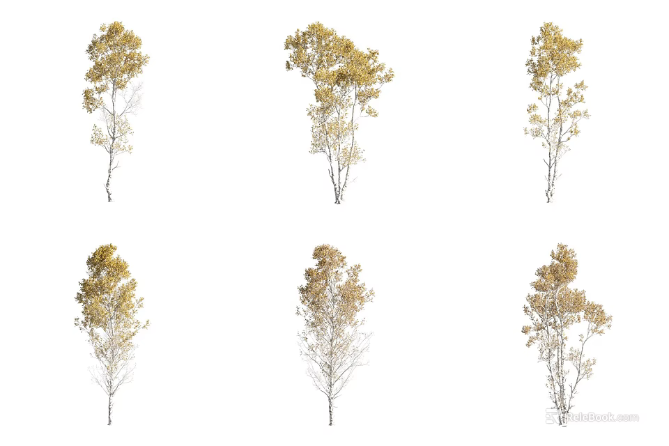 Six Arbor Trees With Yellow Foliage And Various Natural Growth Postures 3d model 