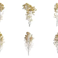 Six Arbor Trees With Yellow Foliage And Various Natural Growth Postures