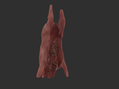 3D Rendered Pink Biological Structure With Irregular Protrusions And Textured Surface 3d model